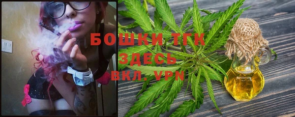 2c-b Богородицк