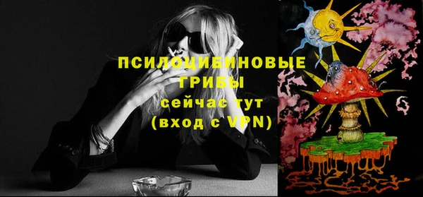 2c-b Богородицк